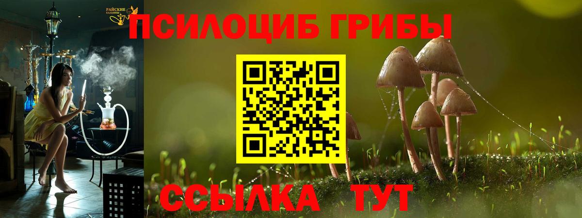 Псилоцибиновые грибы Psilocybe  Вход с VPN  Артём 